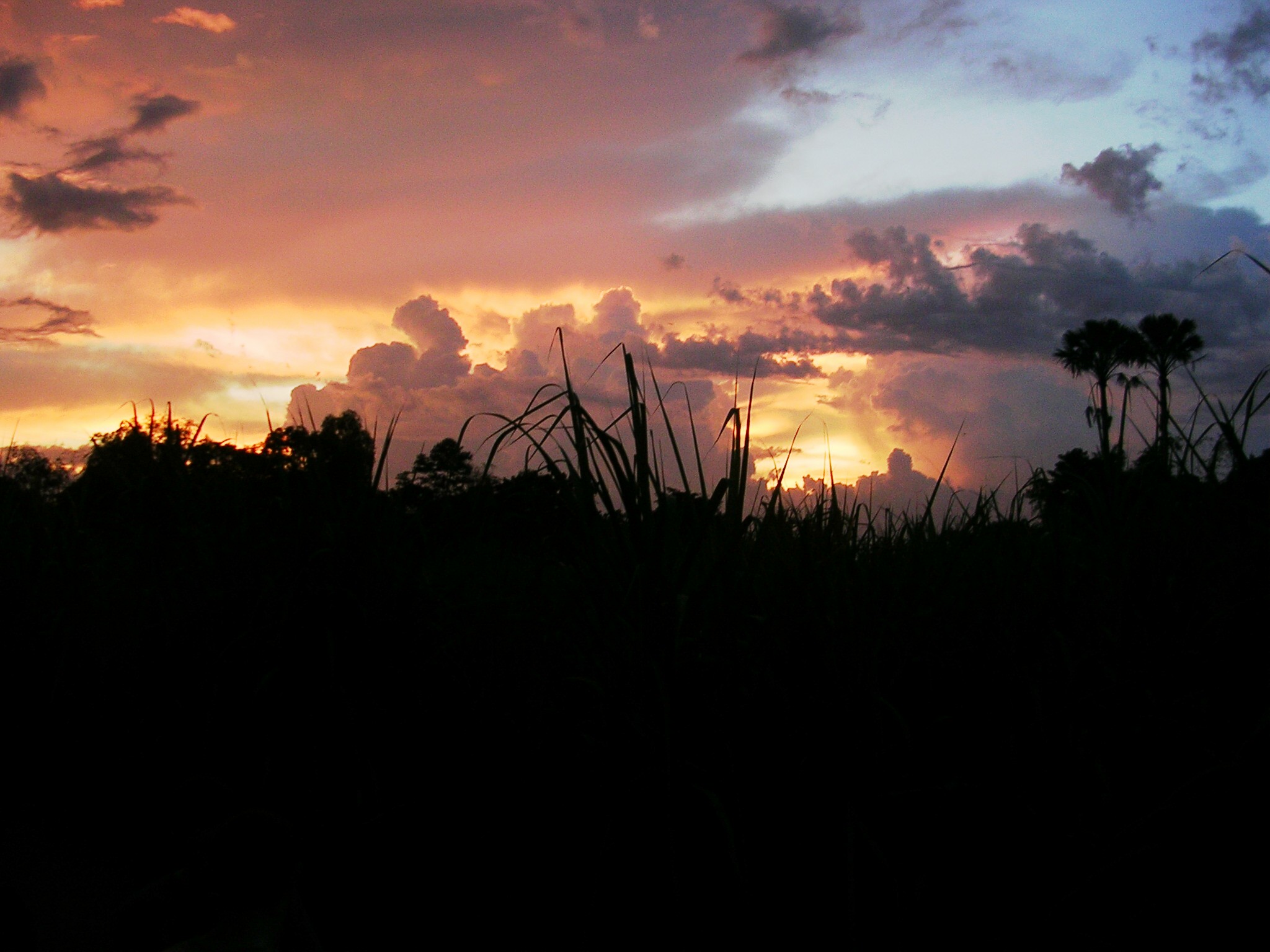 Sky at dusk over the suger cane feilds in Negros